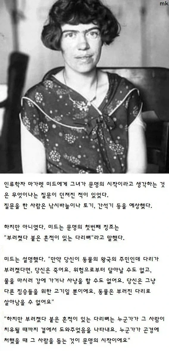 인터넷에 써져있으면 다 사실이다_1.webp