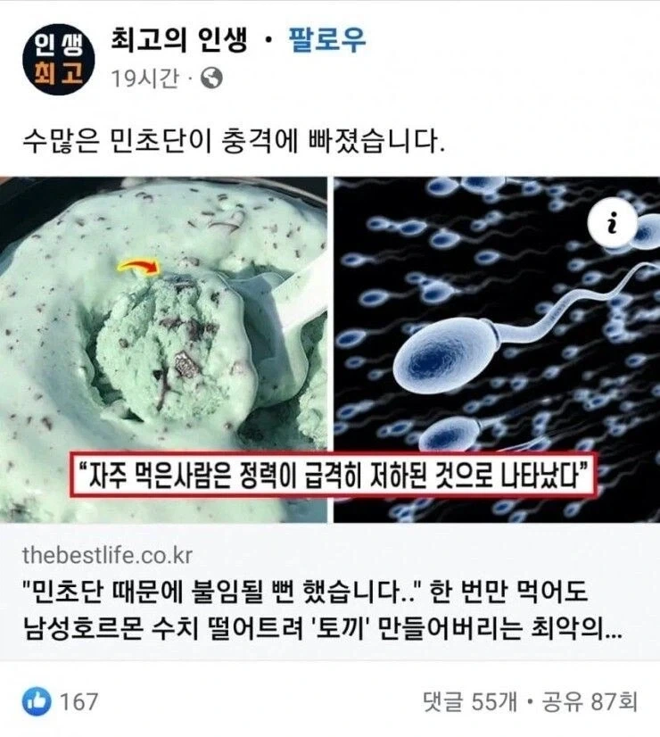 민초단은 들으라_1.webp