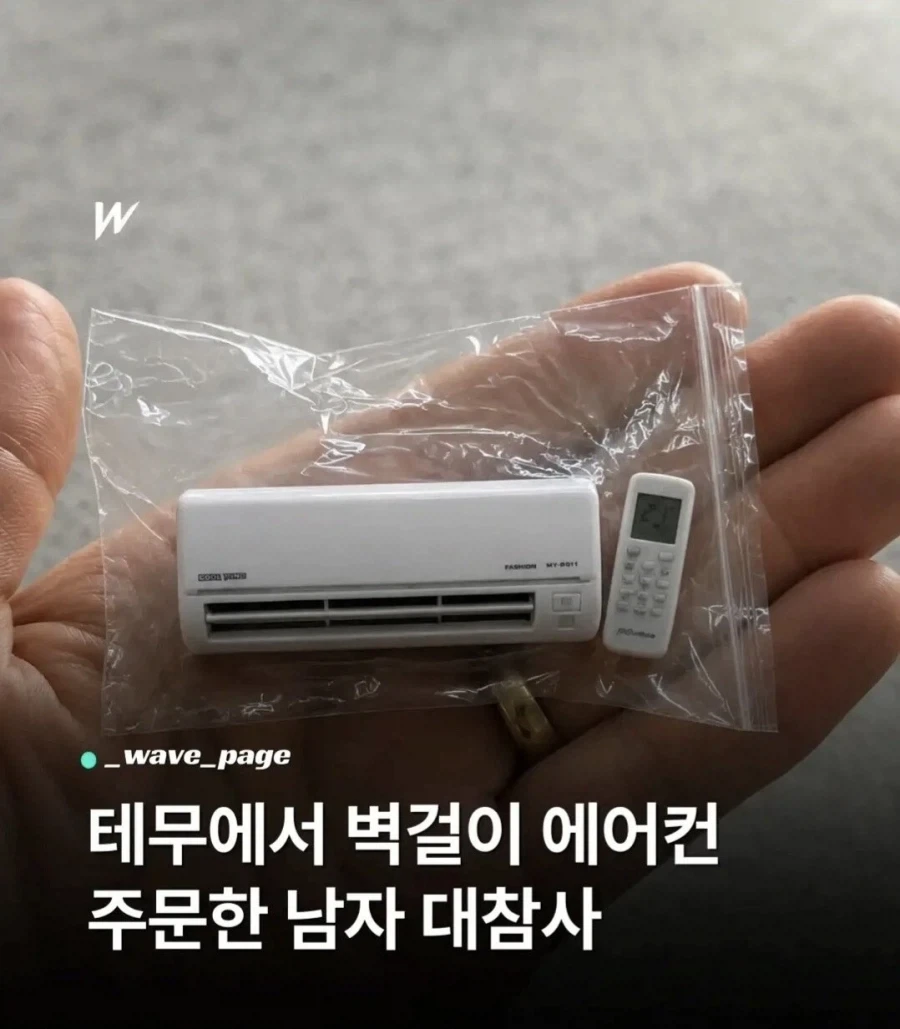 테무에서 벽걸이 에어컨을 주문한 남자_1.webp