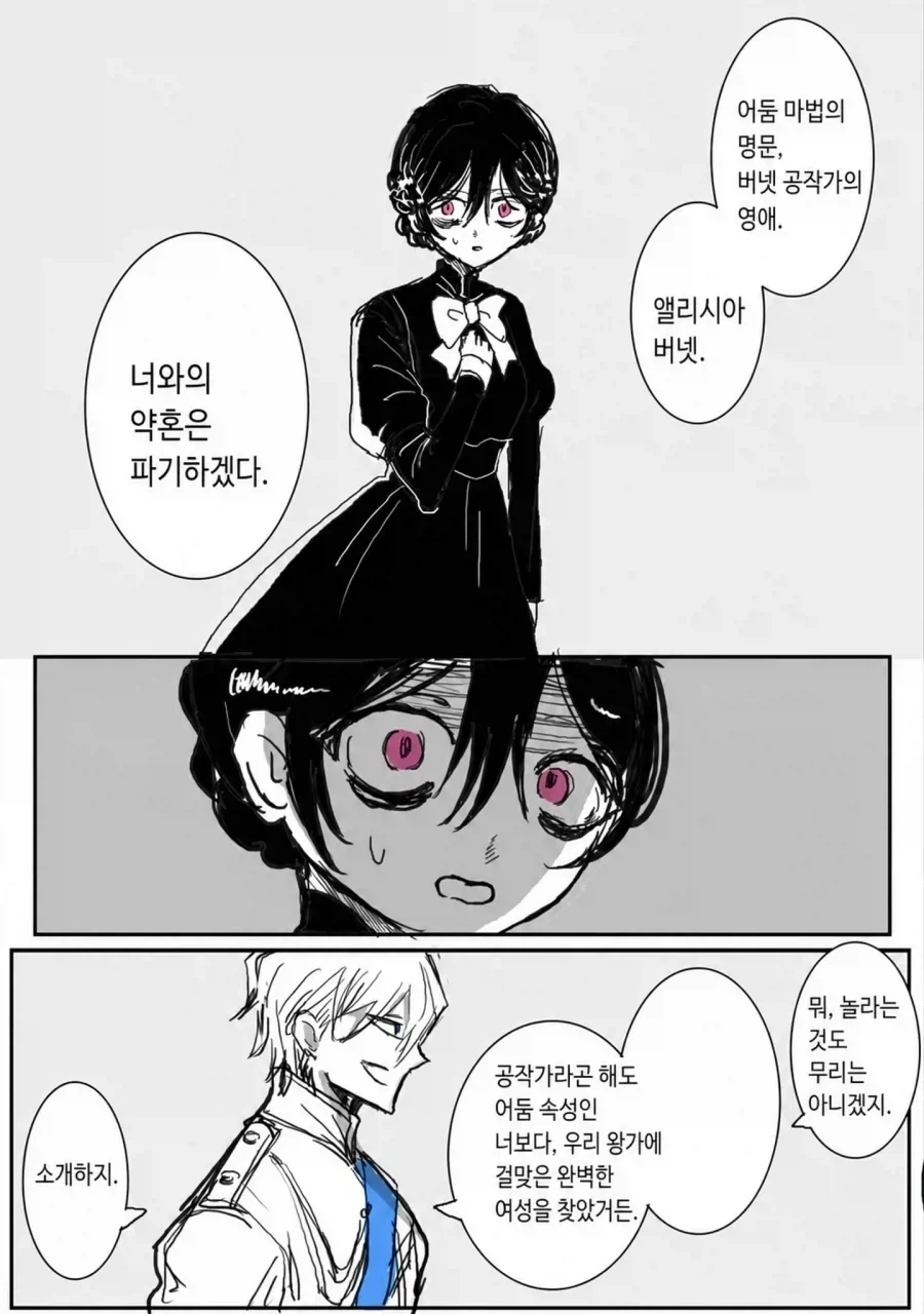 어둠 속성 영애와 빛의 성녀_1.webp