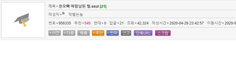 친오빠 아내 행세한 여동생.jpg_1.webp