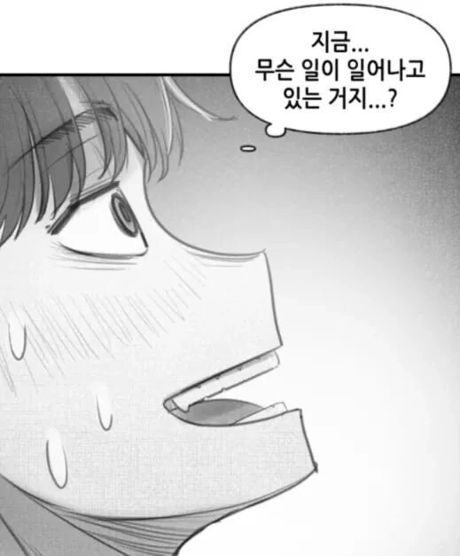 manga_2302730_029.webp