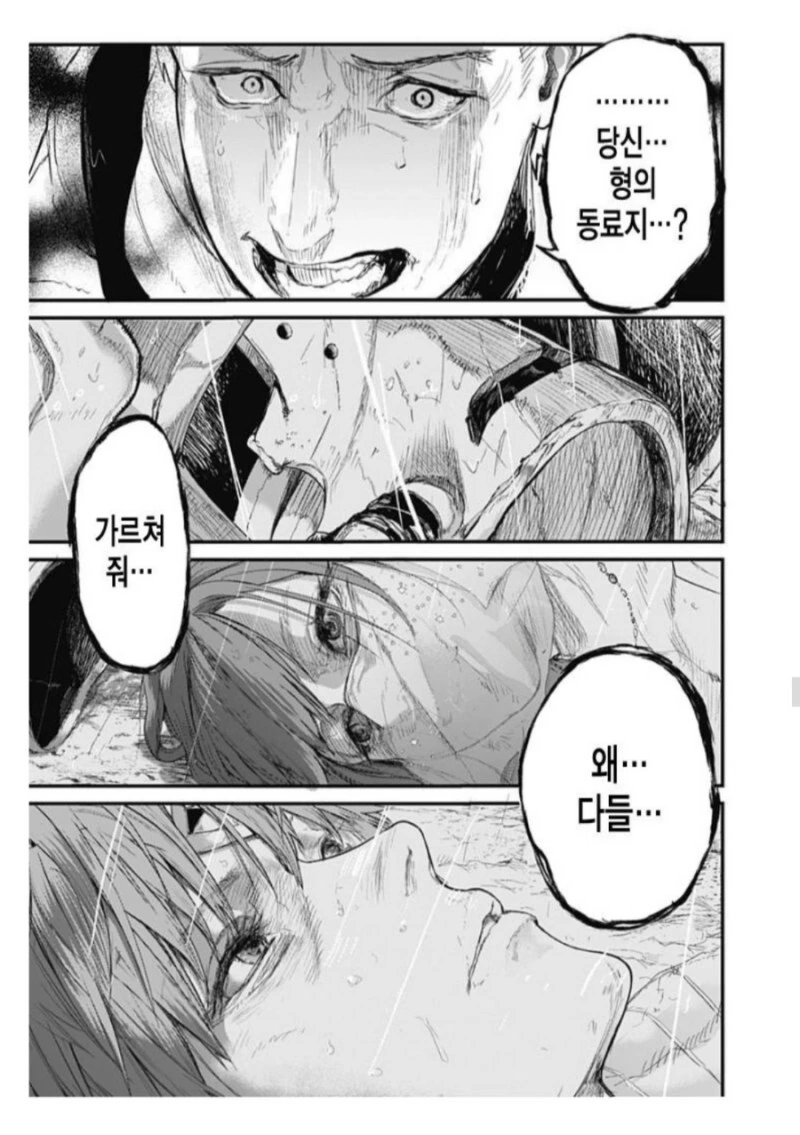 manga_2379553_029.webp