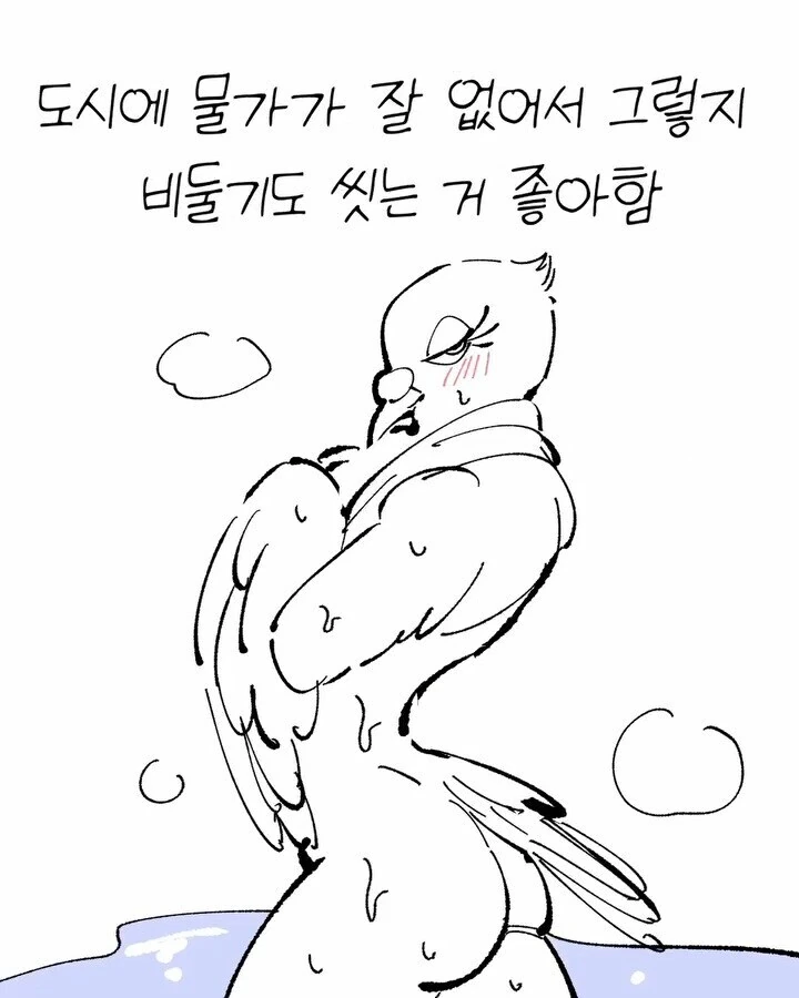 비둘기가 너무 귀여운 만화_10.jpg