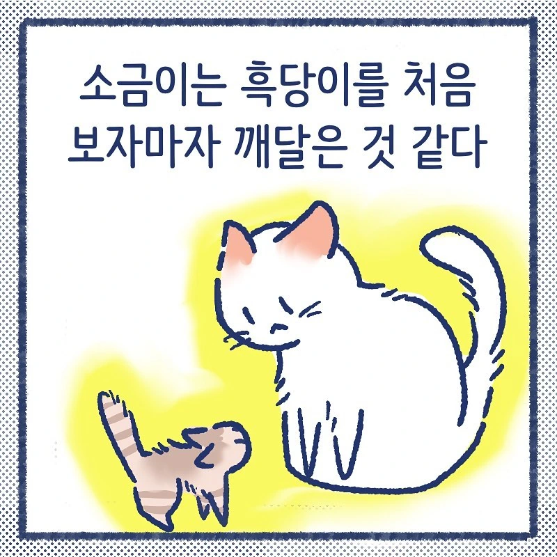 manga_849387_001.webp