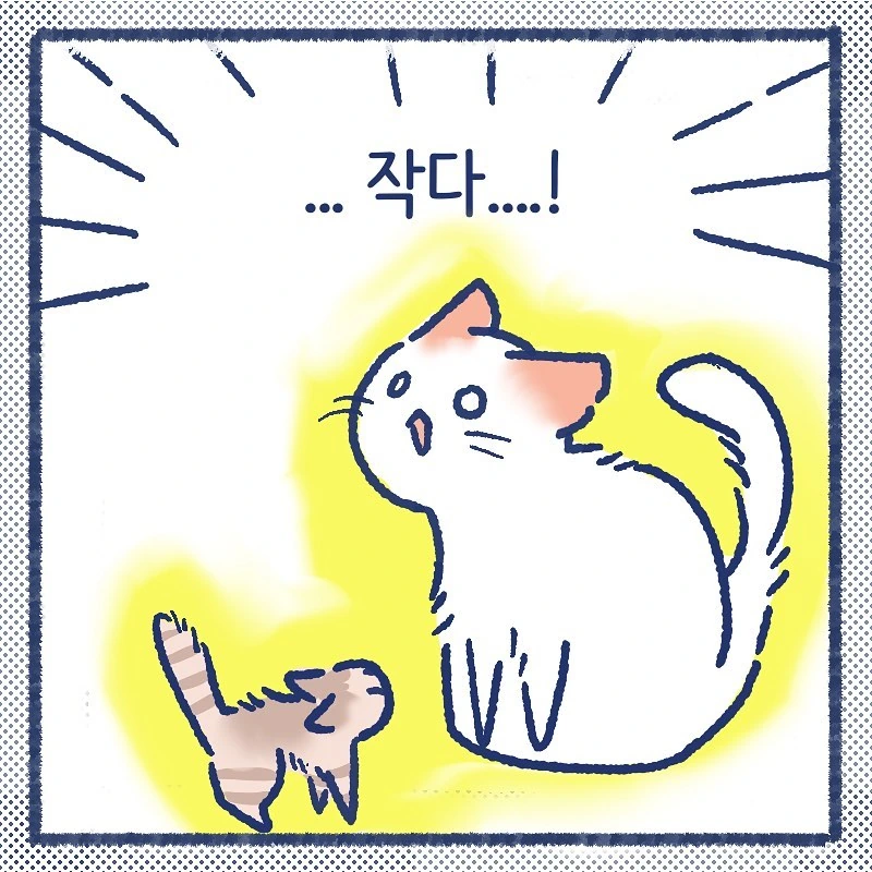 manga_849387_002.webp