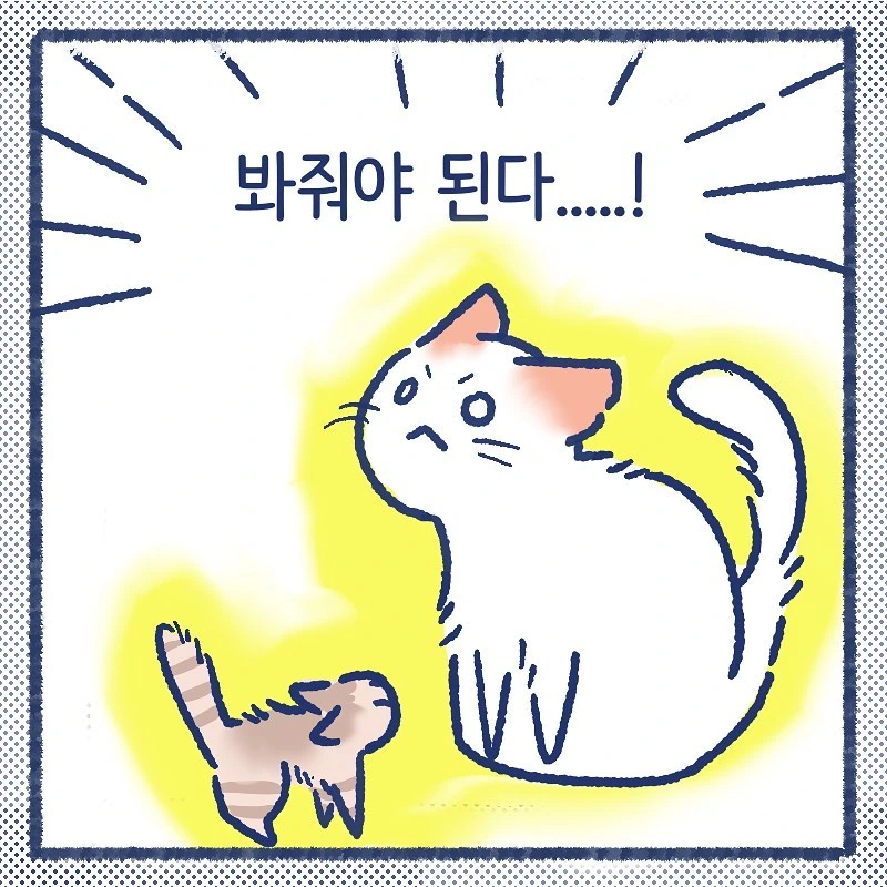 manga_849387_003.webp
