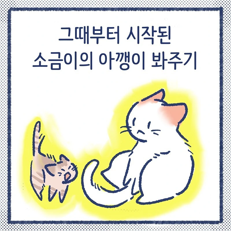 manga_849387_004.webp