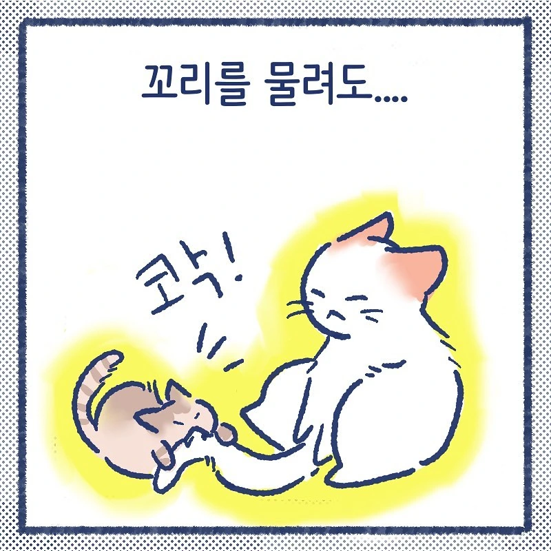 manga_849387_005.webp