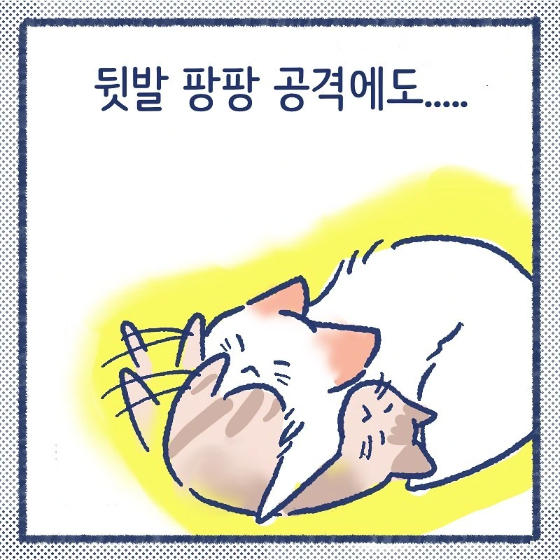 manga_849387_006.webp