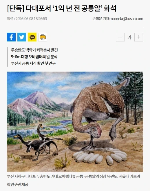 부산 다대포서 ‘1억 년 전 공룡알’ 화석_1.webp