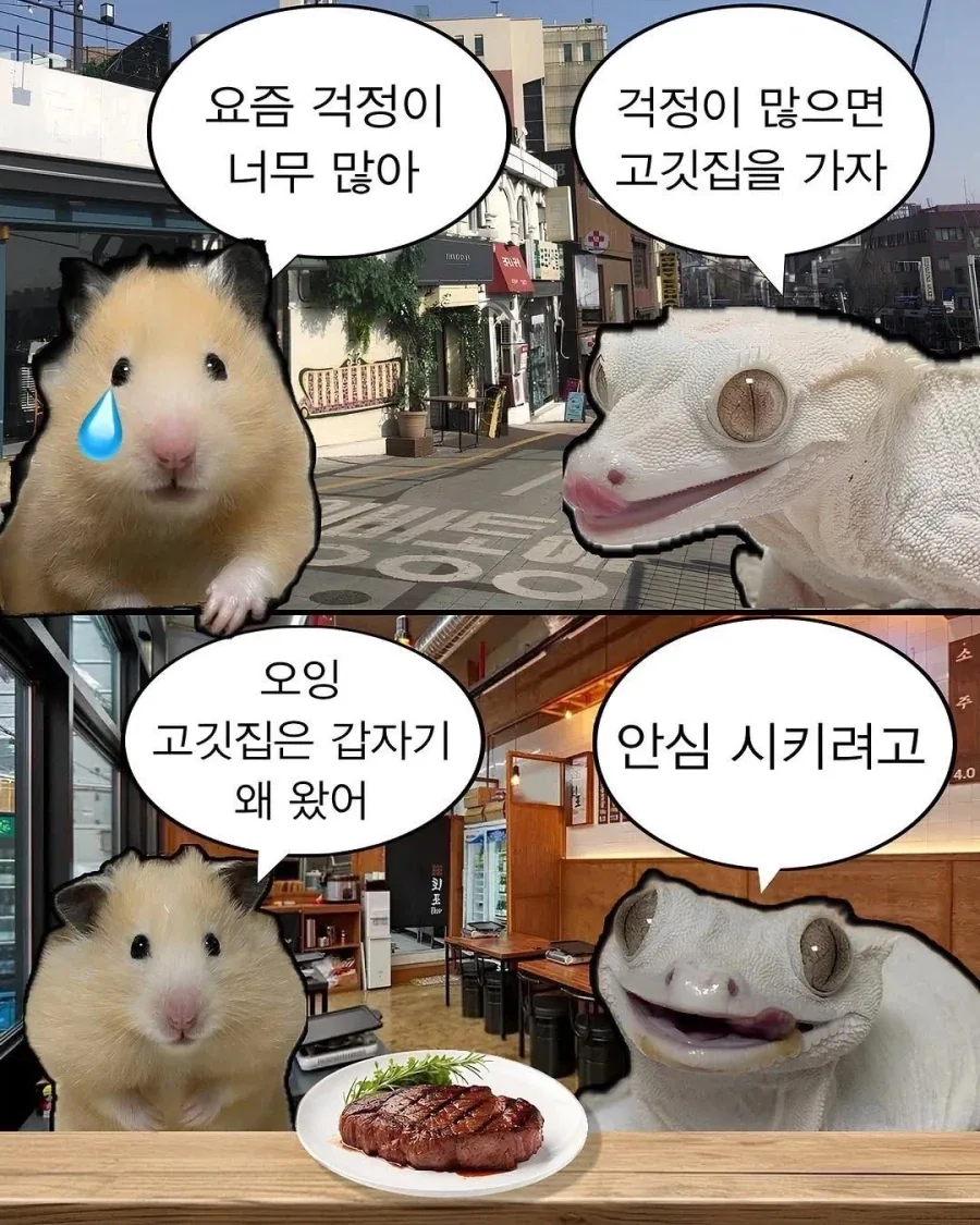 걱정이 너무 많으면 고깃집에 가라.jpg_1.webp