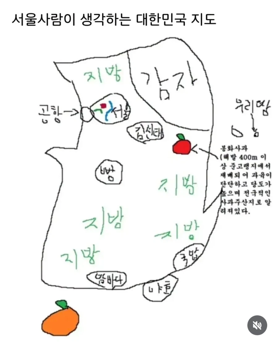 서울사람이 생각하는 대한민국 지도_1.webp