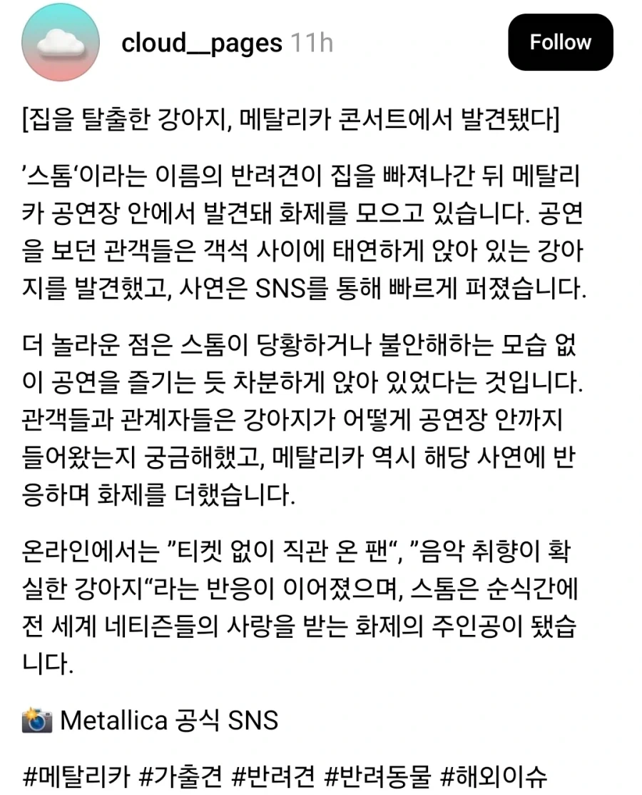 집 나간 강아지 메탈리카 콘서트에서 발견_1.webp