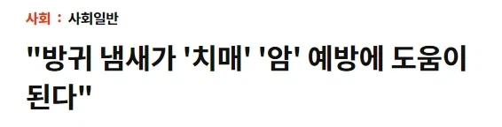 방귀냄새의 놀라운 효능_1.webp