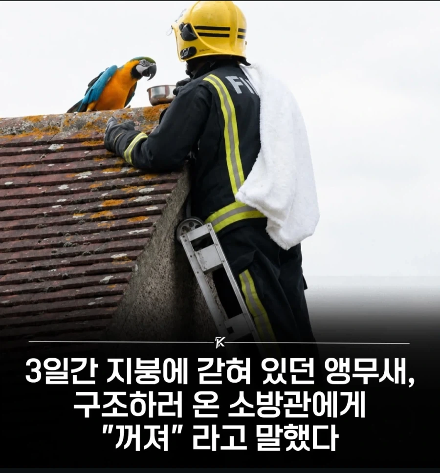 헤이 친구 구하러왔다구!!!_1.webp