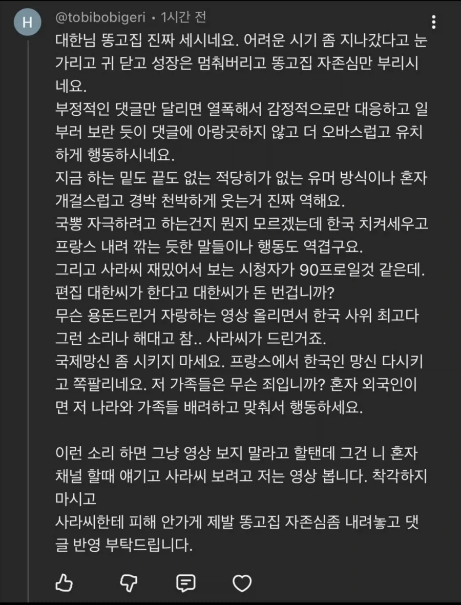 악플보고 댓글 단 유튜버 프랑스 아내_1.webp