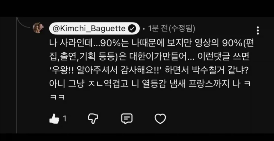 악플보고 댓글 단 유튜버 프랑스 아내_2.webp