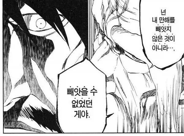 블리치 석두는 잘못 없는 장면_1.webp