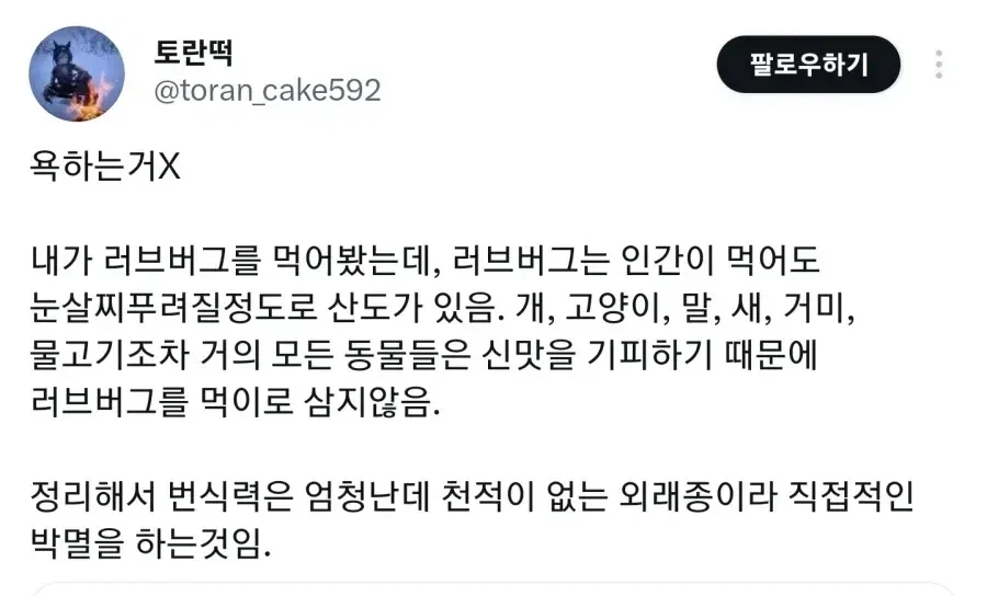 러브버그 먹어본 사람.jpg_1.webp