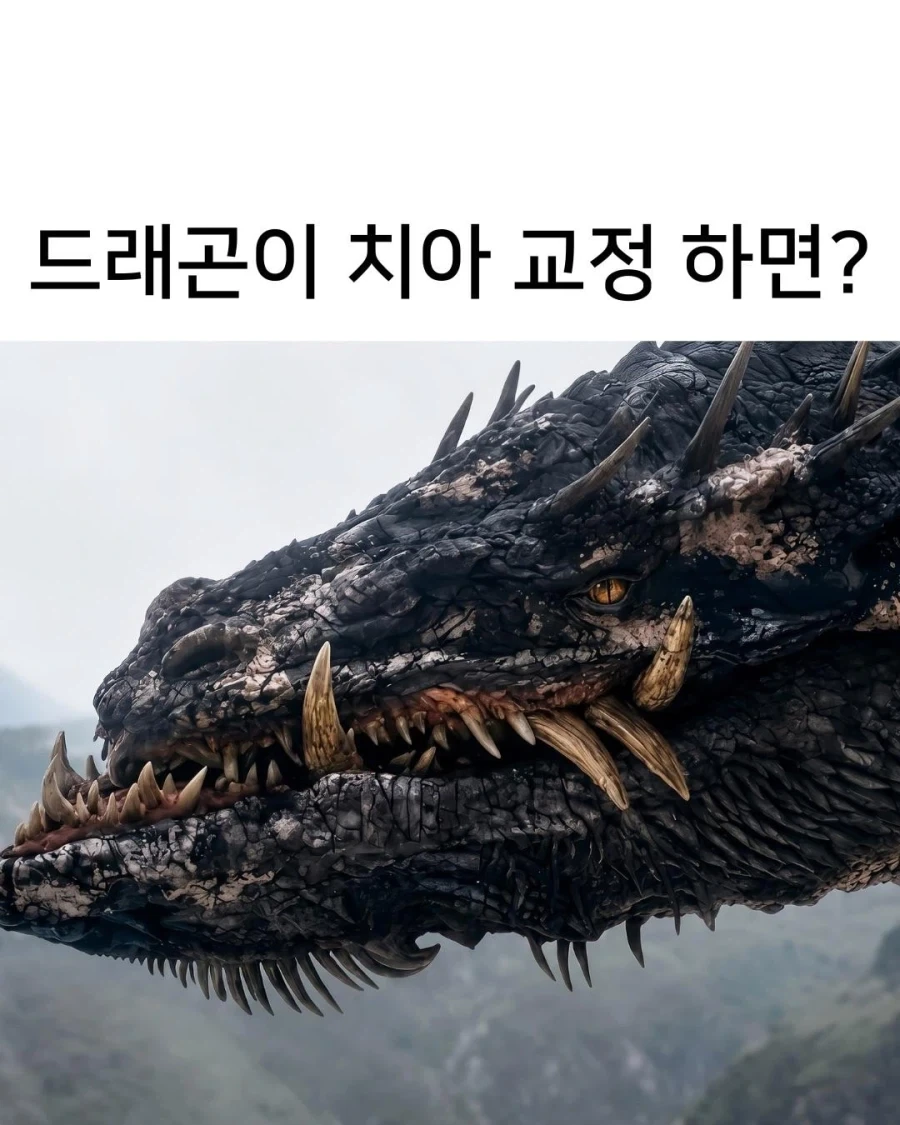 드래곤이 치아 교정하면??_1.webp