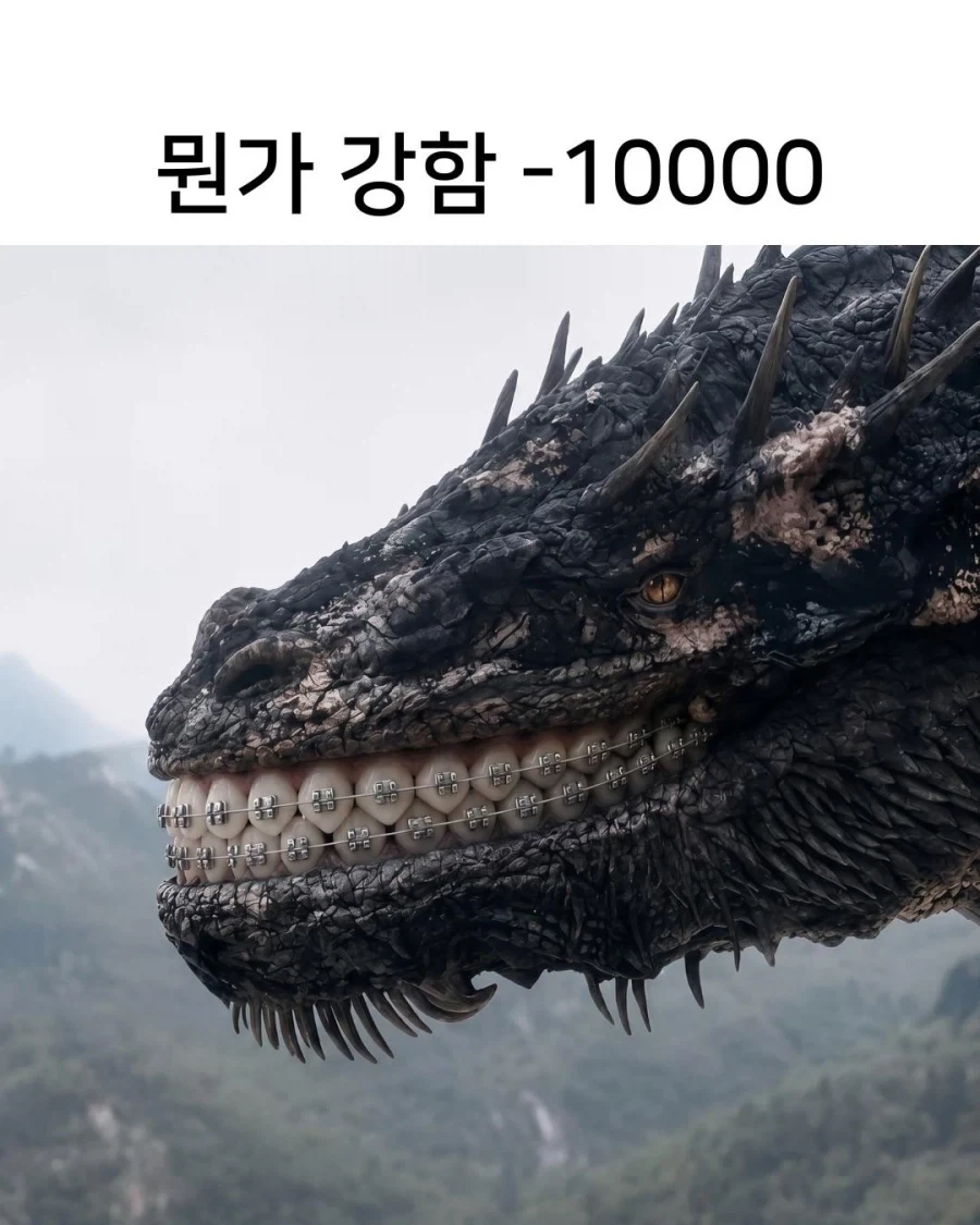드래곤이 치아 교정하면??_2.webp
