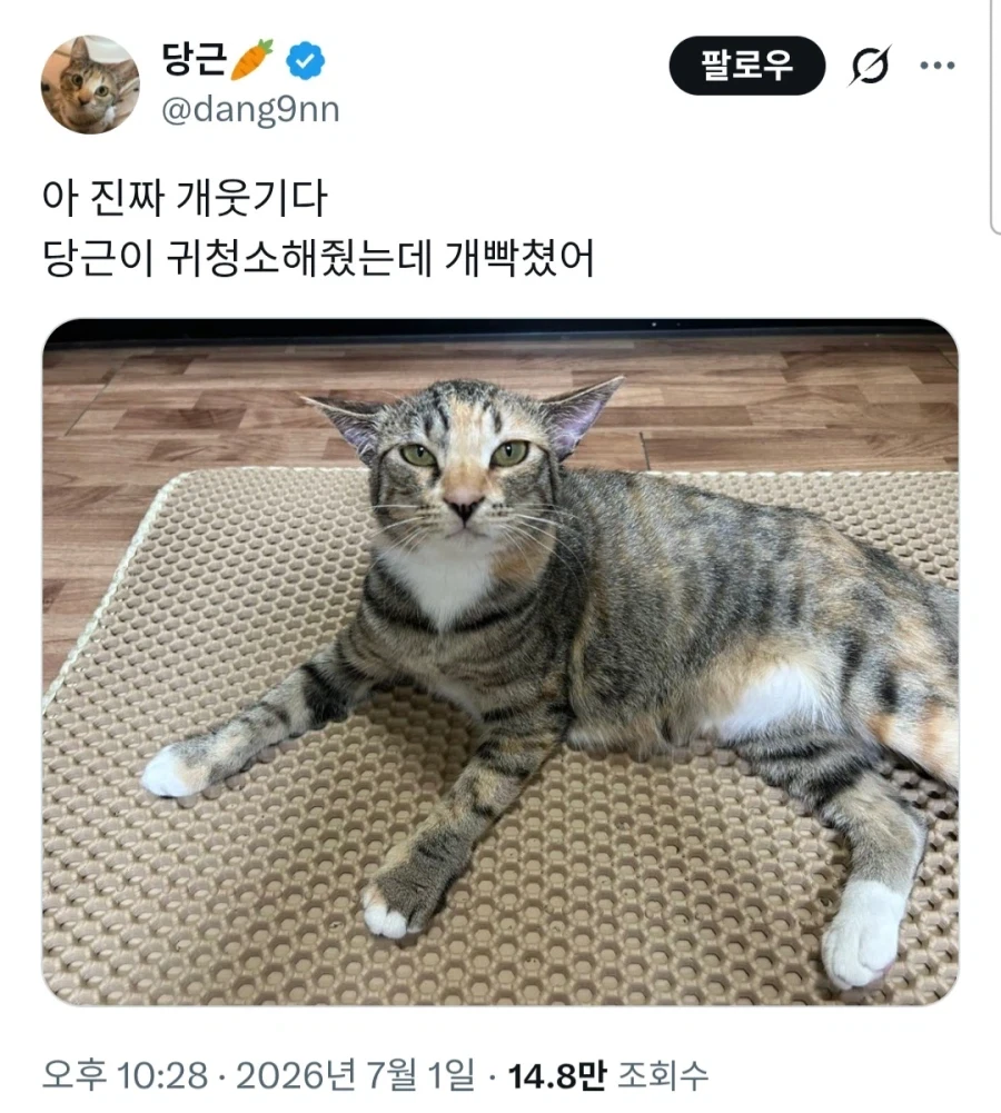 귀청소받은고양2_1.webp