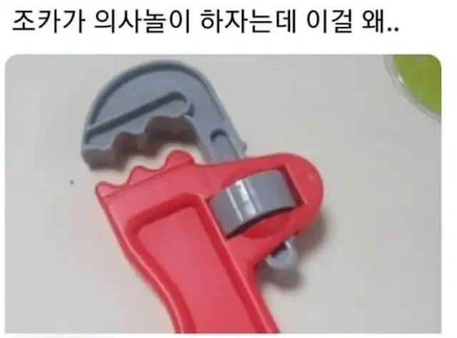 의사놀이를 하고싶은 조카_1.webp