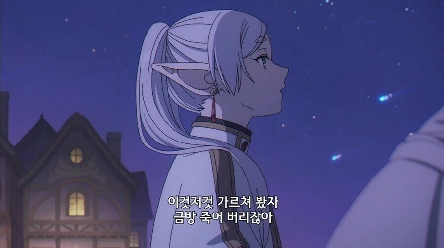 프리렌) 남부 용사가 힘멜한테 기대를 건 이유.jpg_6.jpg