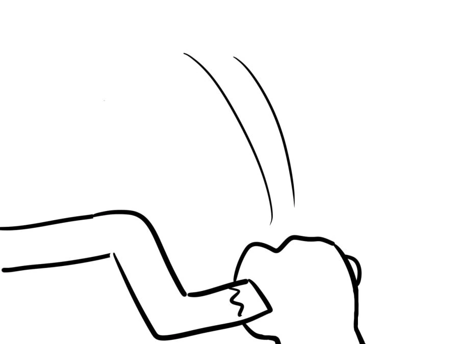 manga_418003_009.webp