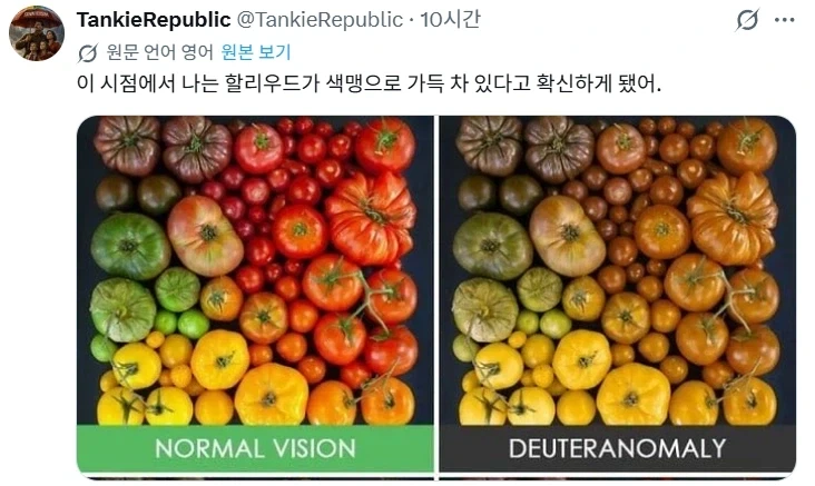 디즈니 실사팀 색맹 설_3.webp
