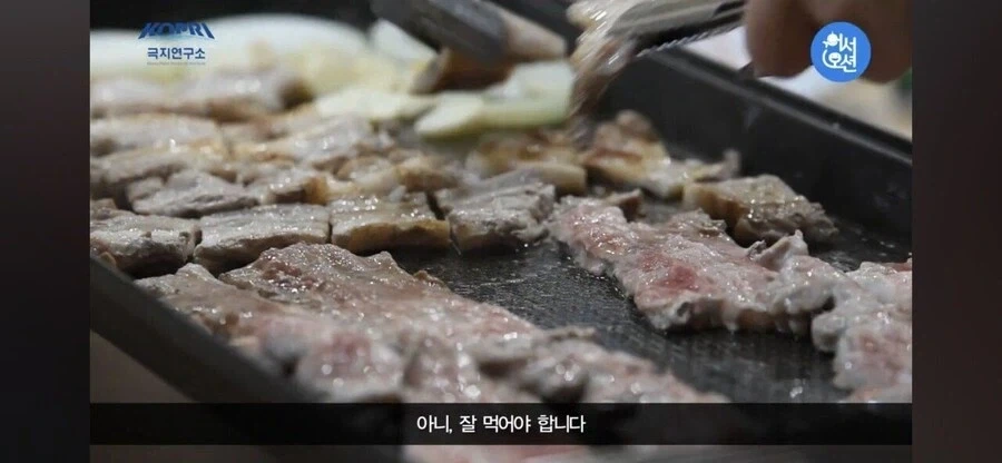 남극에선 잘 먹어야 한다는 남극의 셰프.jpg_3.webp