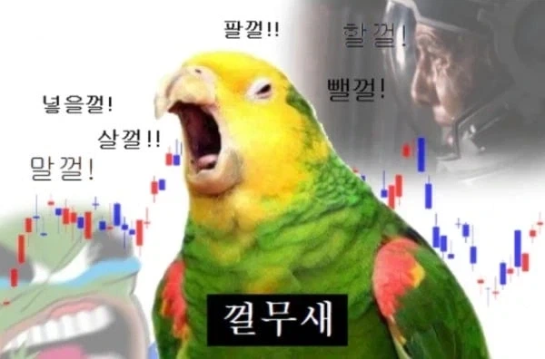 주식 이야기에 항상 나오는 새_1.webp