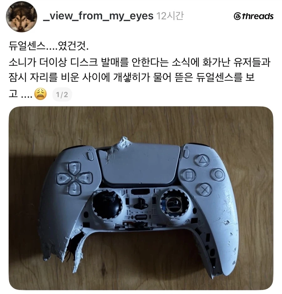 듀얼센스였던 것.jpg_1.webp