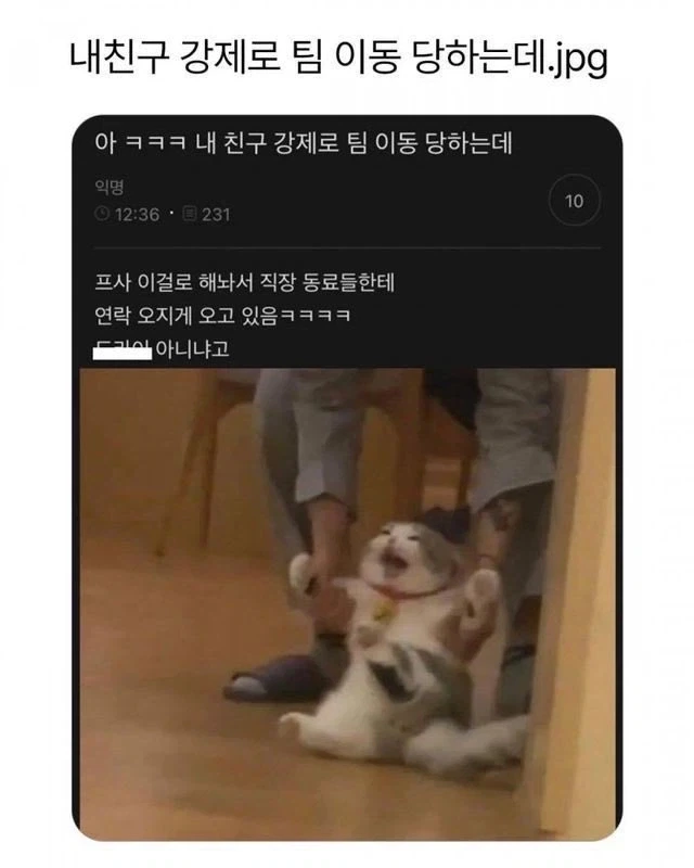직장 동료들에게 욕먹은 이유_1.webp