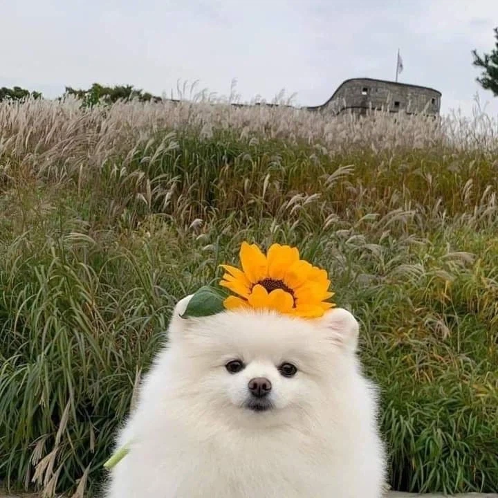 천천히 스크롤해서 내려보세요_1.webp