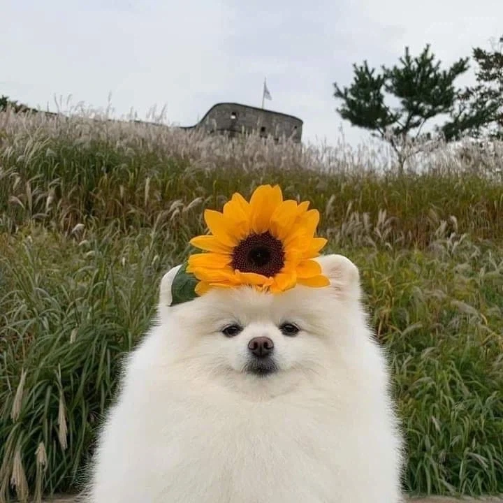천천히 스크롤해서 내려보세요_2.webp