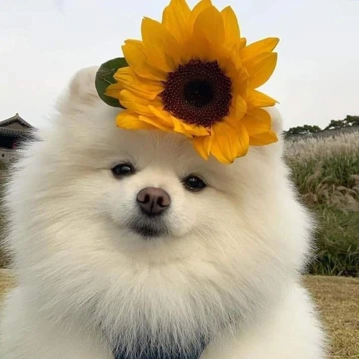 천천히 스크롤해서 내려보세요_3.webp