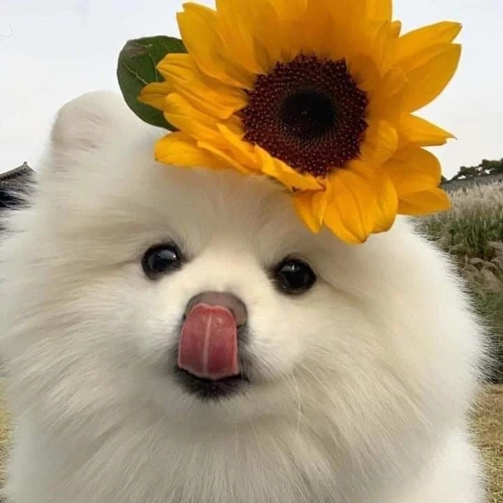 천천히 스크롤해서 내려보세요_4.webp