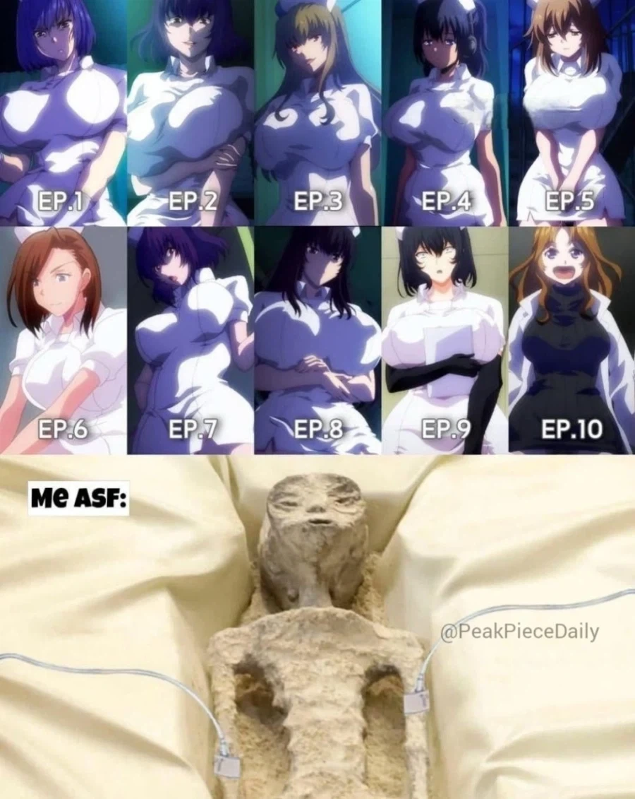 우당탕탕 병원 간호사들.jpg_1.webp