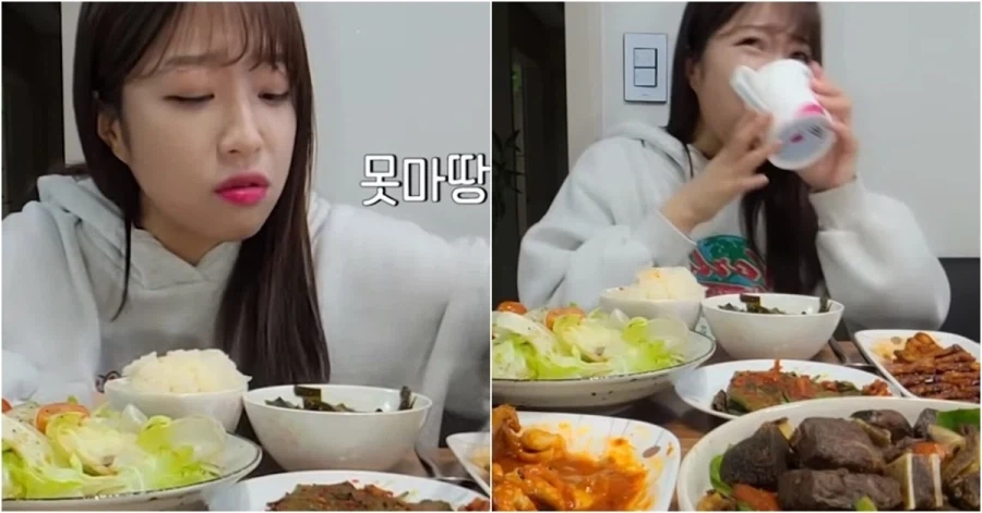 쯔양은 유명한 소식가임_3.webp