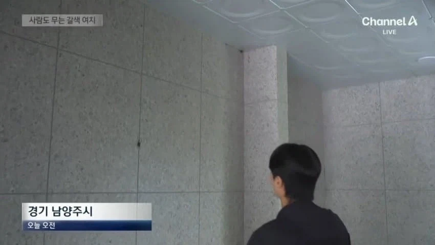 사람도 문다... 갈색 여치의 습격_2.webp