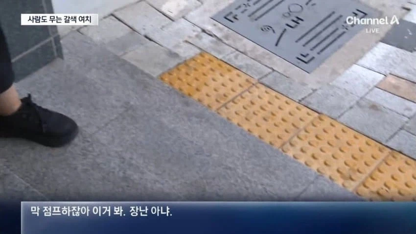 사람도 문다... 갈색 여치의 습격_7.webp