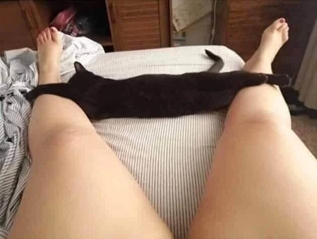 발목까지 내린 팬티 아님.jpg_1.webp