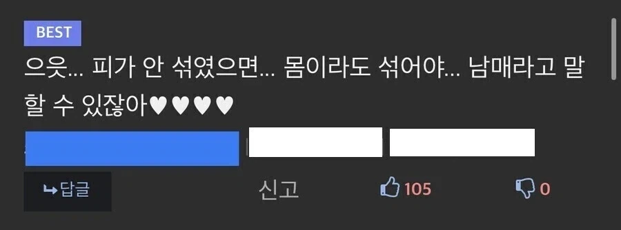 진짜 개 천박한 디씨 댓글 수준._1.webp