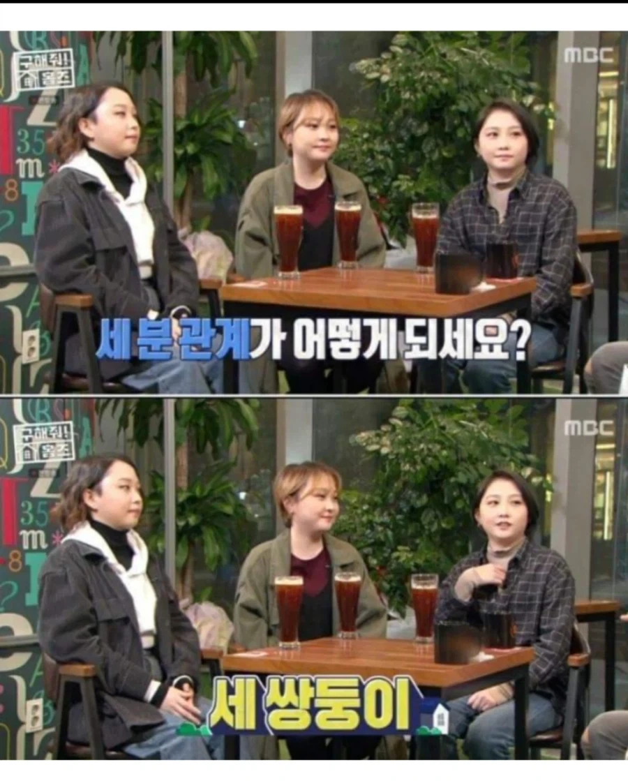 현실판 이브이 세쌍둥이.jpg_1.webp
