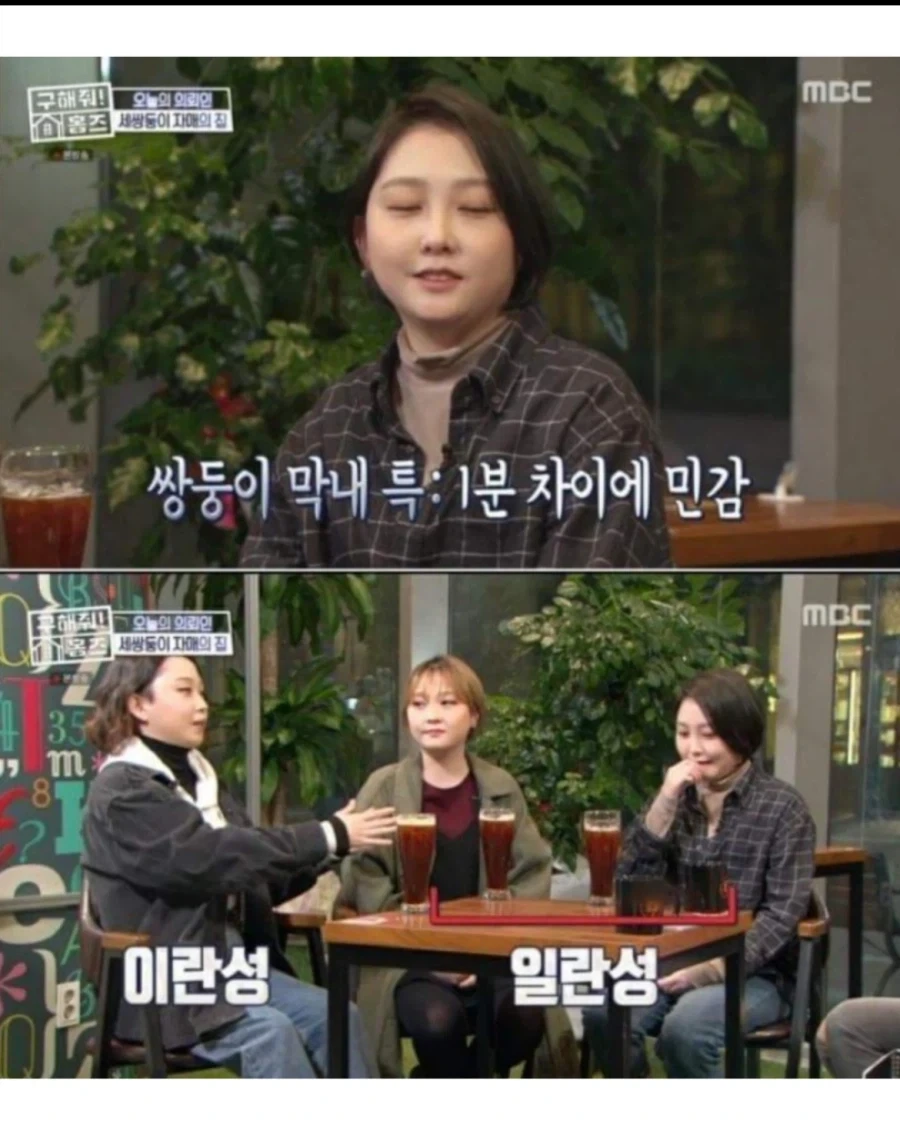 현실판 이브이 세쌍둥이.jpg_3.webp