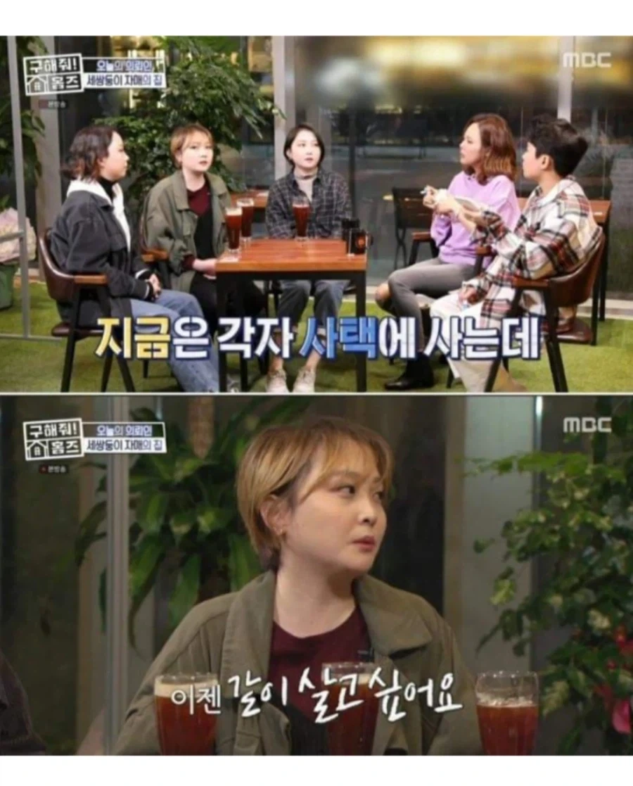 현실판 이브이 세쌍둥이.jpg_6.webp