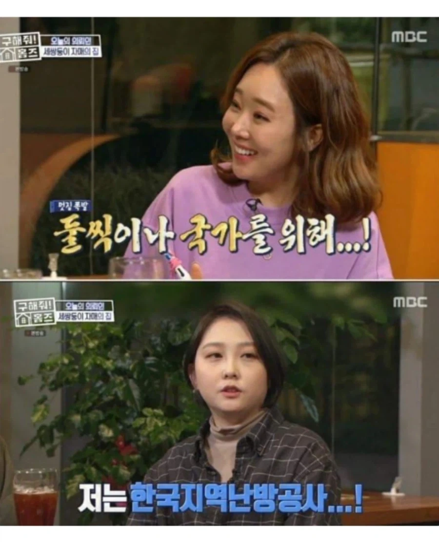 현실판 이브이 세쌍둥이.jpg_11.webp