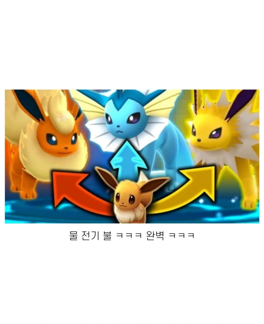 현실판 이브이 세쌍둥이.jpg_14.webp